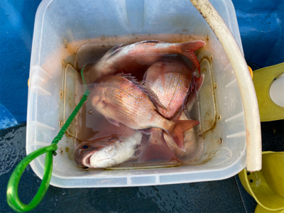 関門の一つテンヤ