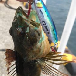 渋いっす(苦笑)