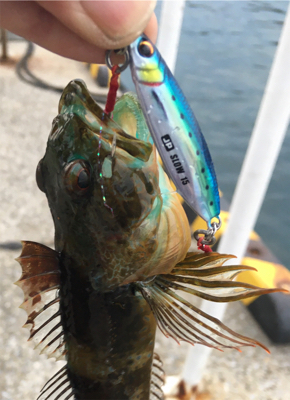 渋いっす(苦笑)