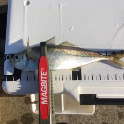 まだイケるぞ！