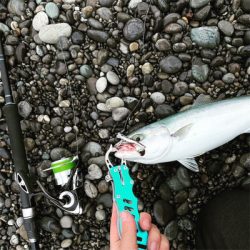 ショアジギ遠征