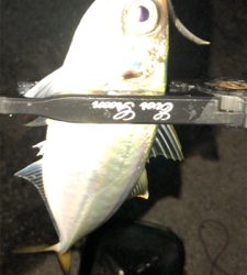 アジングナイト(少し寒い)