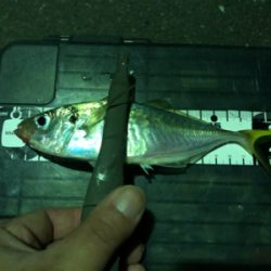 ギリ中アジ連発( ・∇・)