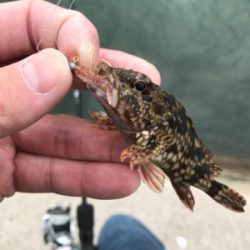 暇つぶしにライトゲーム