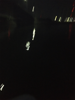 ナイトシーバス