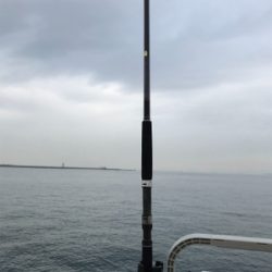 曇り空がいい感じ