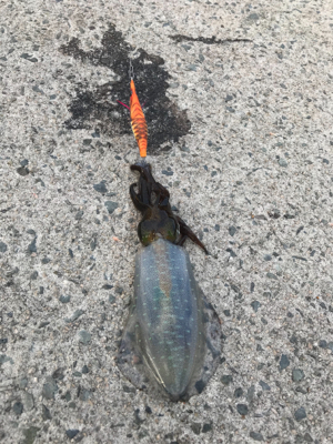 渋くなりました！