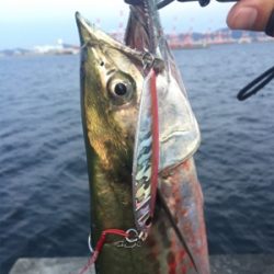 ポーアイ沖堤防