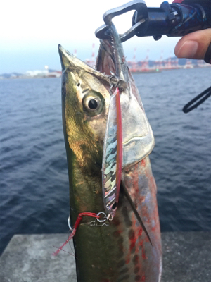 ポーアイ沖堤防