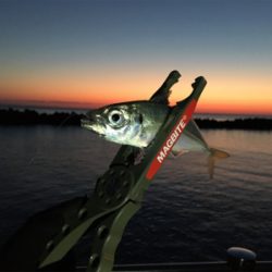 種市で釣りキャンプ