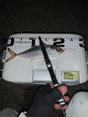 ベイトアジングの道⑫極寒