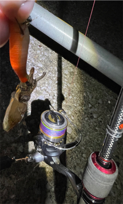 ヒイカ　エギング　100杯超え