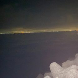 またまたアジング練習！！