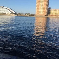 期待してなかったけど②