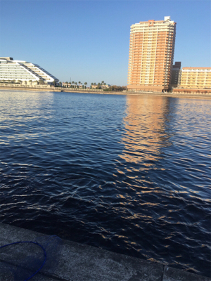 期待してなかったけど②