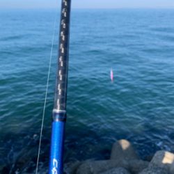 ショアジギング