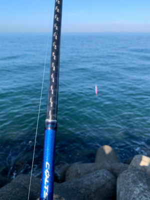 ショアジギング