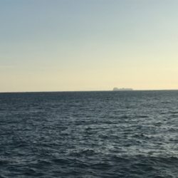 ショアジギング