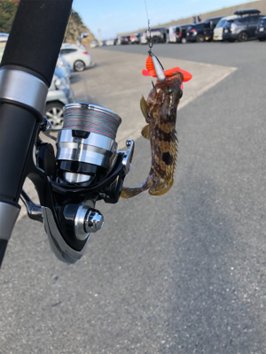 フラットフィッシュに挑戦