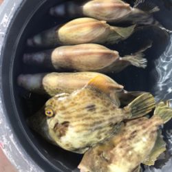 全集中、五目釣りの呼吸。