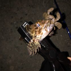 落とし込み的なやつ