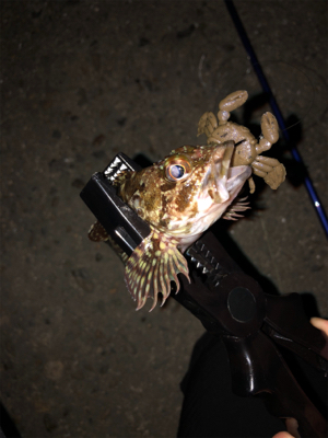 落とし込み的なやつ