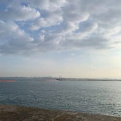 ショアジギングしました