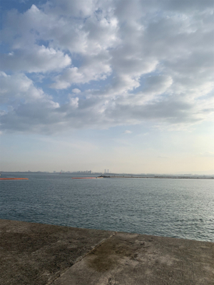 ショアジギングしました