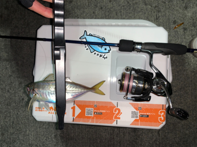 久しぶりの日本海