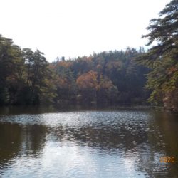 管釣りシーズンイン