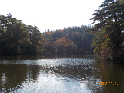 管釣りシーズンイン