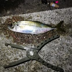 美味しいお土産