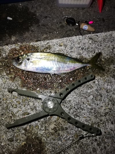 美味しいお土産