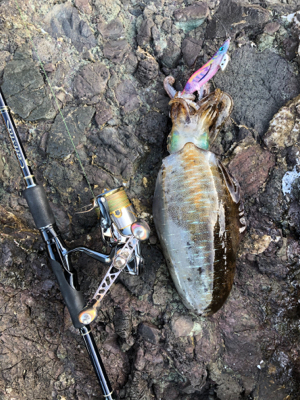 短時間エギング