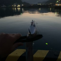 ネバーギブアップ