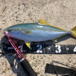 初めての大阪釣行