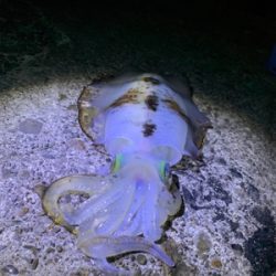 漢は黙ってヤエン。