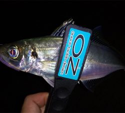 仕事帰りにちょこっと癒されに行きました