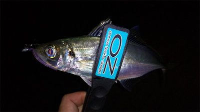 仕事帰りにちょこっと癒されに行きました