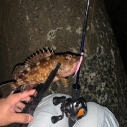 ベイトアジングの道⑬渋い