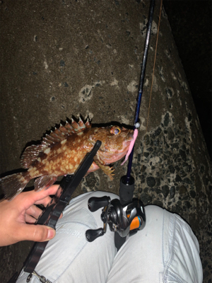 ベイトアジングの道⑬渋い