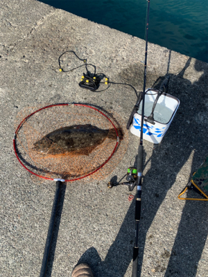 ジグ不発　ならば泳がせ