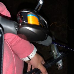 ベイトアジングの道⑭撃沈