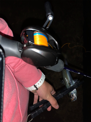 ベイトアジングの道⑭撃沈