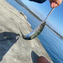 ライトショアジギングなど…