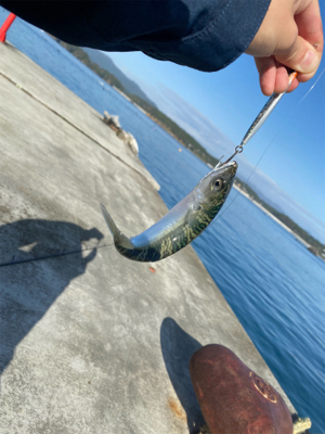 ライトショアジギングなど…