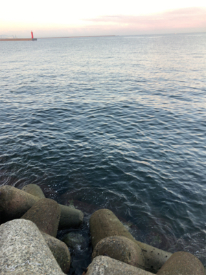 青物～まわってますね