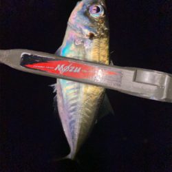 数狙いか型狙いか