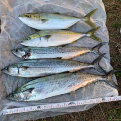 初めての連続ヒット