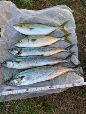 初めての連続ヒット